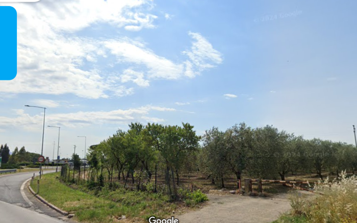 TERRENO AGRICOLO